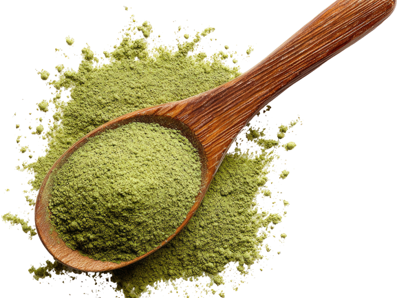 Ayurvedic Products Exporter India | Harshdip Global Exim