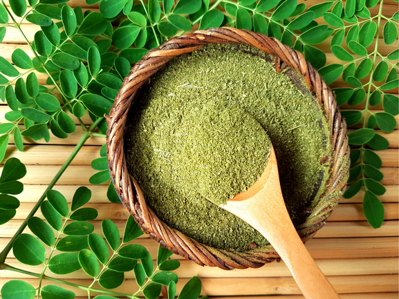 Moringa Powder Exporter from India