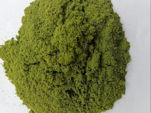 Laxmi Taru Powder Exporter from India