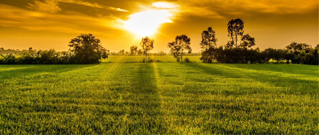 Agri Products Exporter India